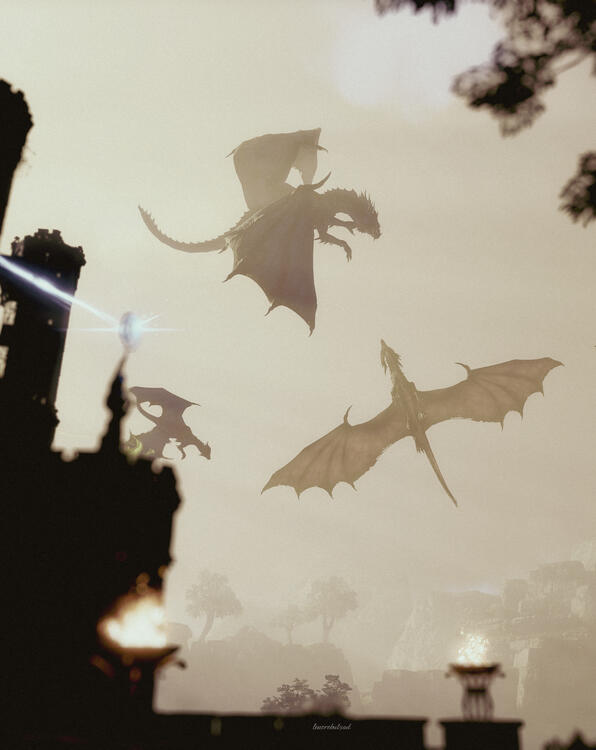 Dragons of Velarions